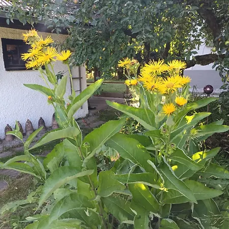 Haus Claudia Appartement Arnfels