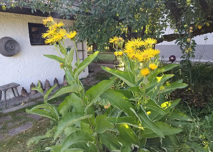 Haus Claudia شقة Arnfels